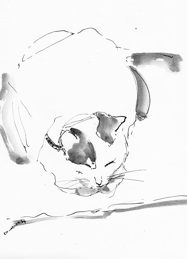 Cat Drawing - Vi_2 by Karina Plachetka