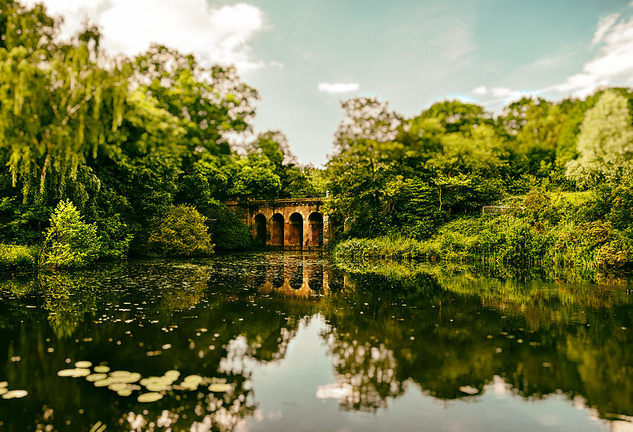 London Photograph - Viaduct Bridge Over Viaduct Pond green london space by Lenny Carter