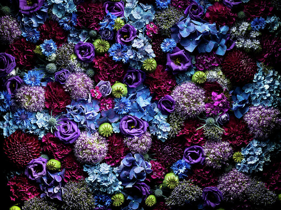 Vibrant And Colourful Floral Photograph by Jonathan Knowles