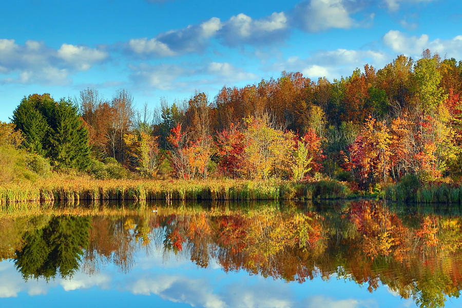 Vibrant Autumn Reflections Photograph by Brooke T Ryan