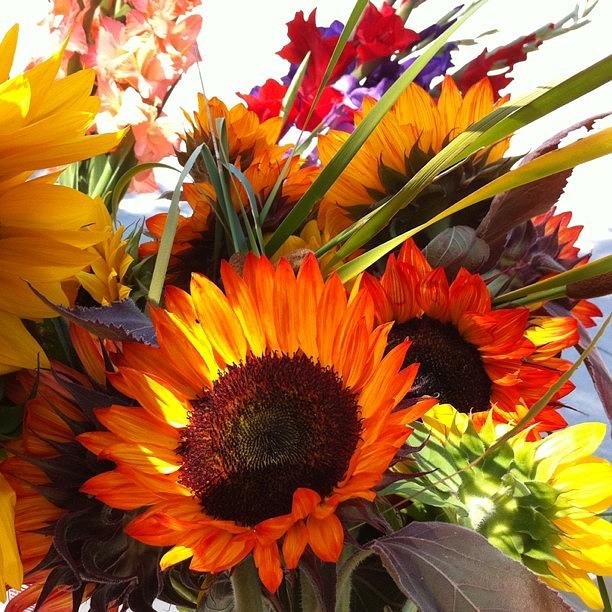 Sunflower Photograph - Vibrant Bouquet by Stefanie Roberts