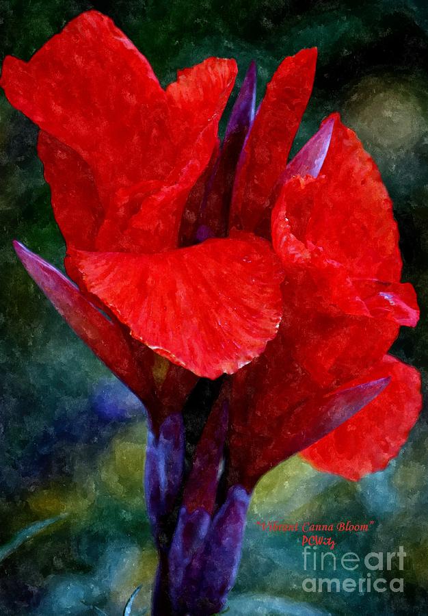 Vibrant Canna Bloom Photograph by Patrick Witz