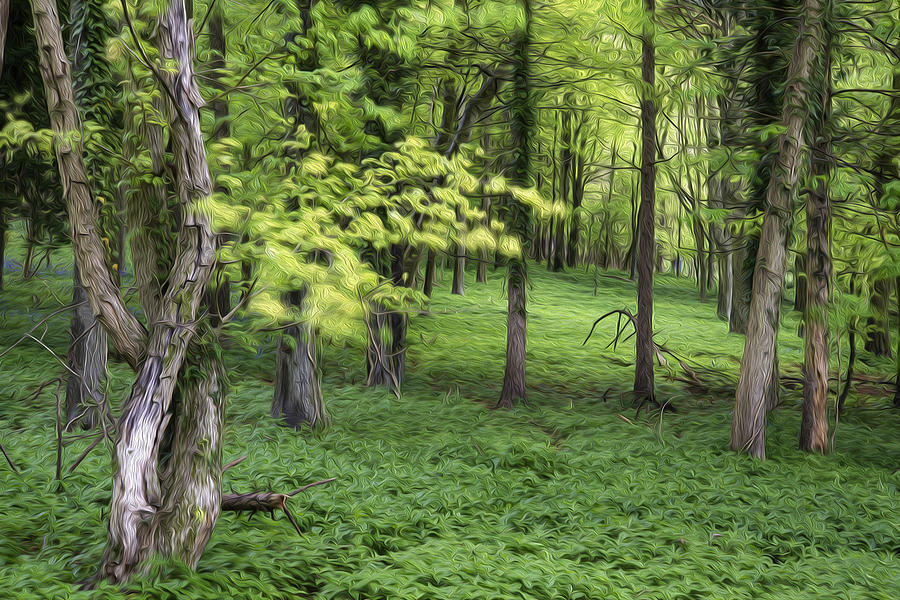 Spring Photograph - Vibrant lush green Spring forest landscape digital painting by Matthew Gibson