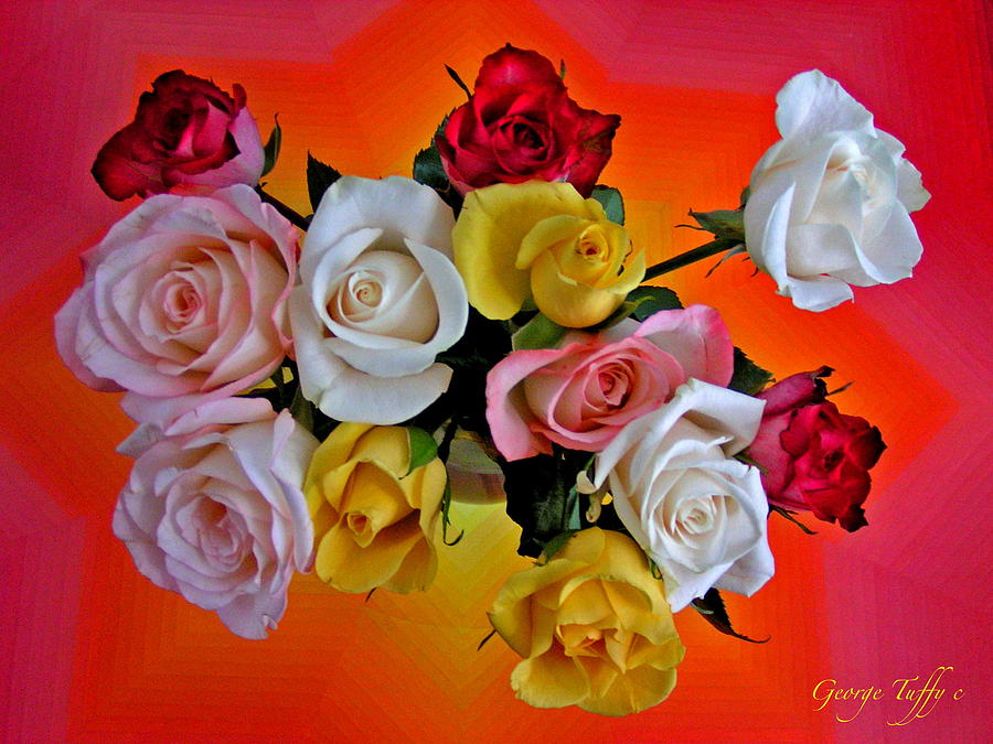 Vibrant roses Photograph by George Tuffy
