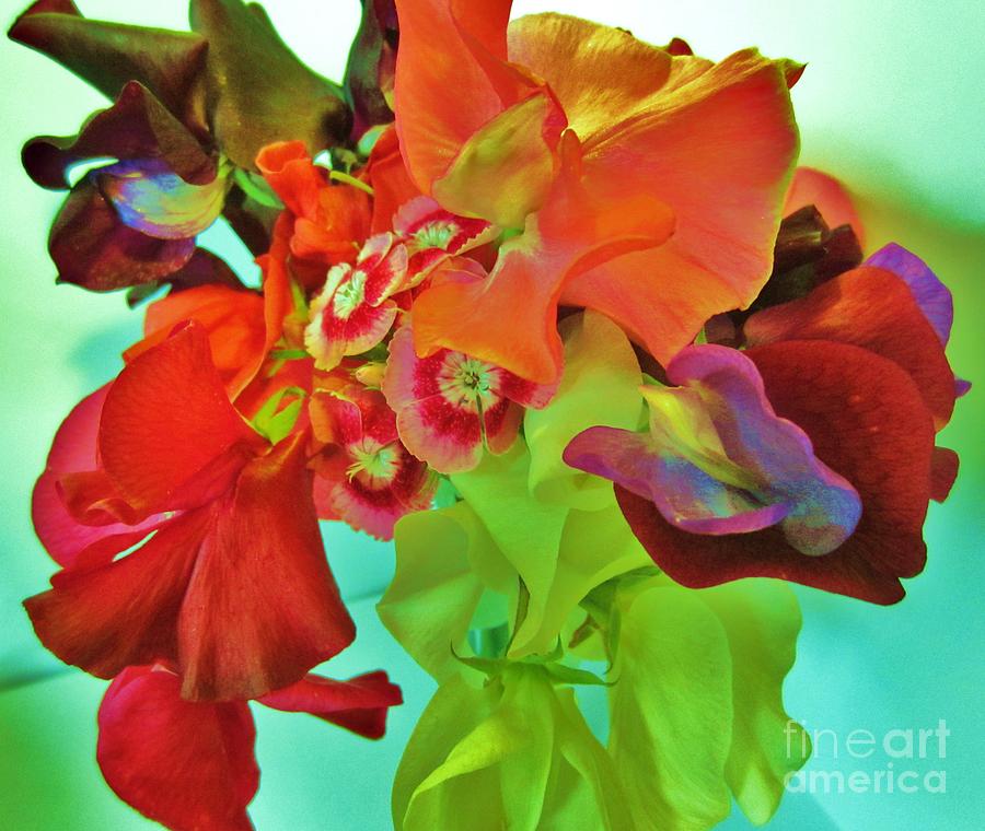 Flower Photograph - Vibrant Sweet Peas by C Lythgo