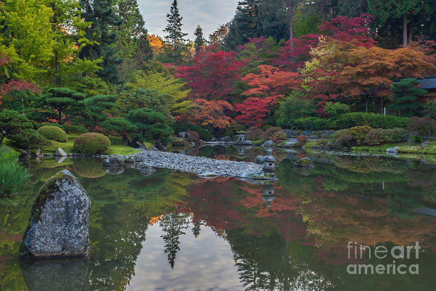 Vibrant Tranquil Autumn Garden Photograph by Mike Reid - Fine Art America