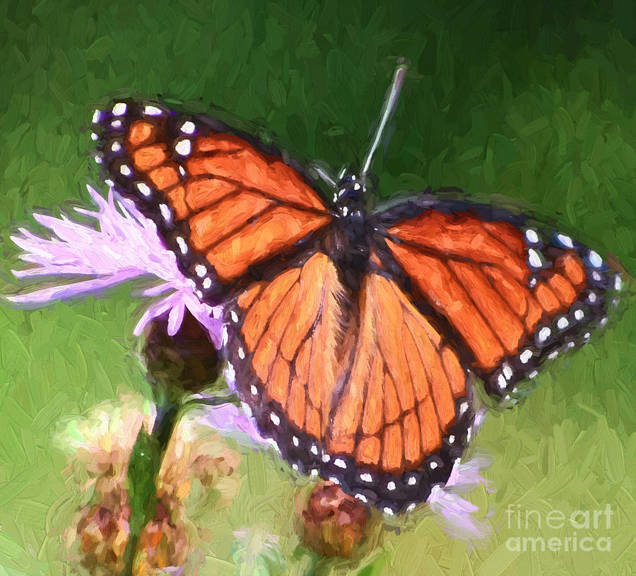 Viceroy Butterfly Wings  Painting by Kerri Farley