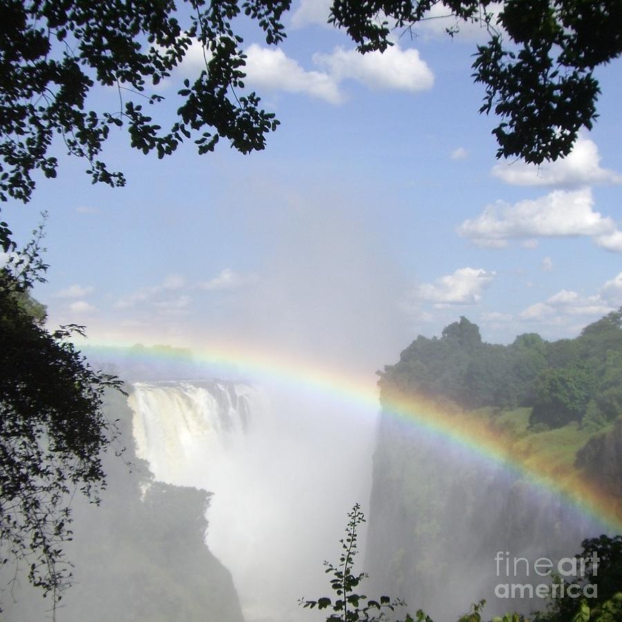 Victoria Falls Rainbow Photograph by Barbie Corbett-Newmin
