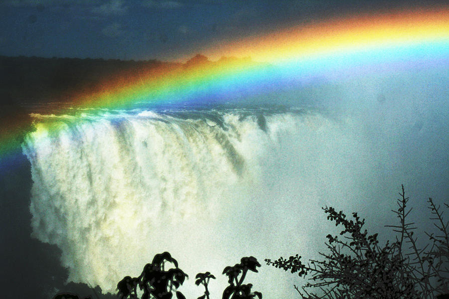 Victoria falls Photograph by Suanne Forster