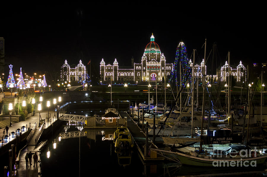Victoria Harbour at Christmas Photograph by Maria Janicki