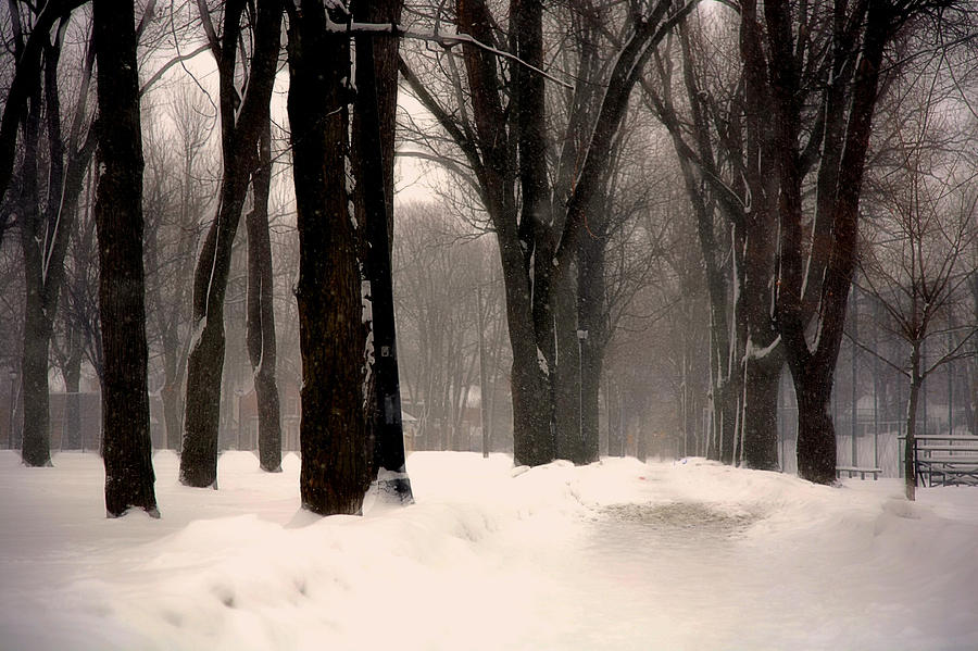 Victoria Park in Winter Photograph by Jim Vance
