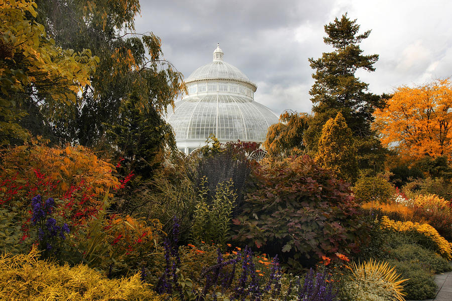 Victorian Autumn Garden Photograph by Jessica Jenney