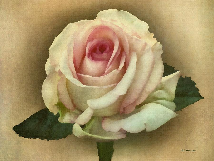 Victorian Blush Painting by RC DeWinter
