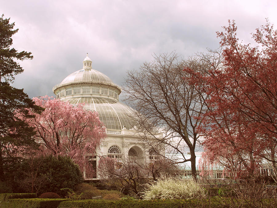 Victorian Gardens Photograph by Jessica Jenney