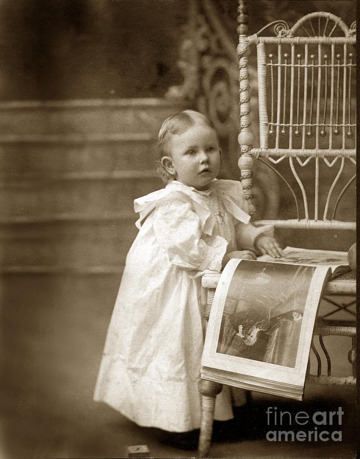 Book Photograph - Victorian Little girl standing next to a wicker chair looking at a book circa 1900 by Monterey County Historical Society