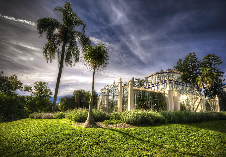 Victorian Palm House Photograph by Wayne Sherriff