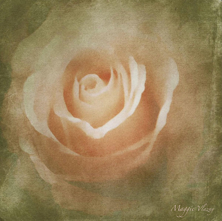 Victorian Vintage Pink Rose Mixed Media by Femina Photo Art By Maggie