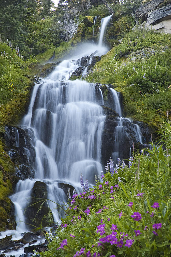 Vidae Falls and Flowers 2 Photograph by Lee Kirchhevel