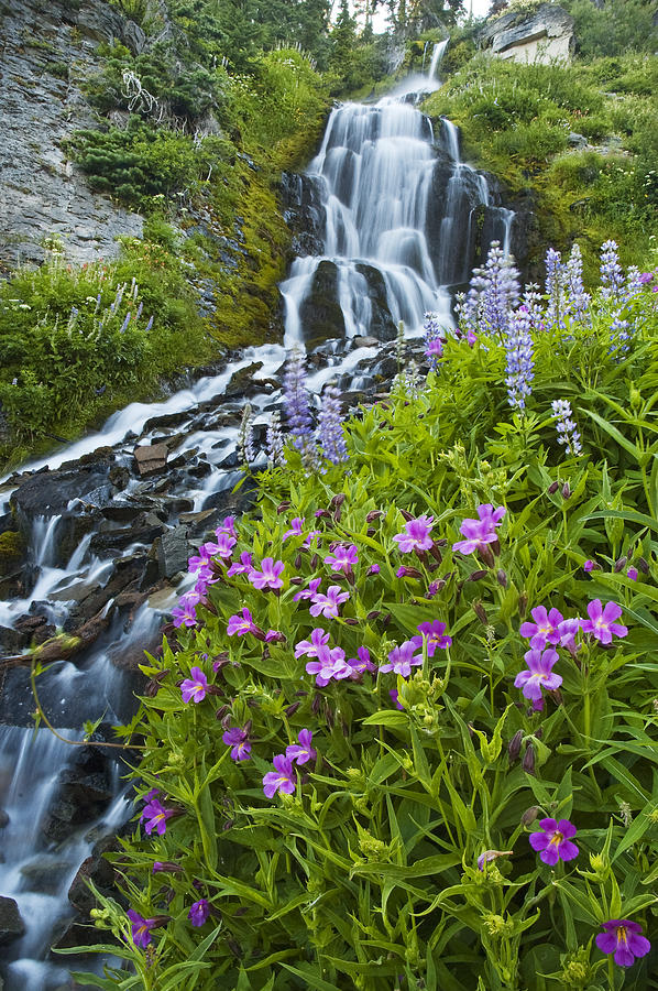 Vidae Falls and Flowers Photograph by Lee Kirchhevel