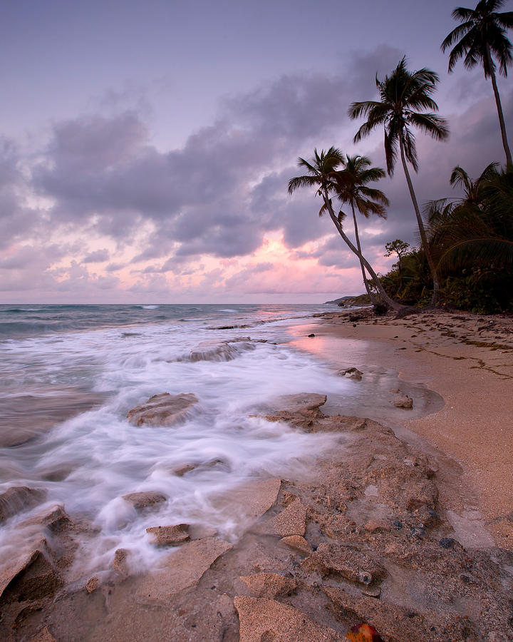 Vieques Sunrise Photograph by Patrick Downey