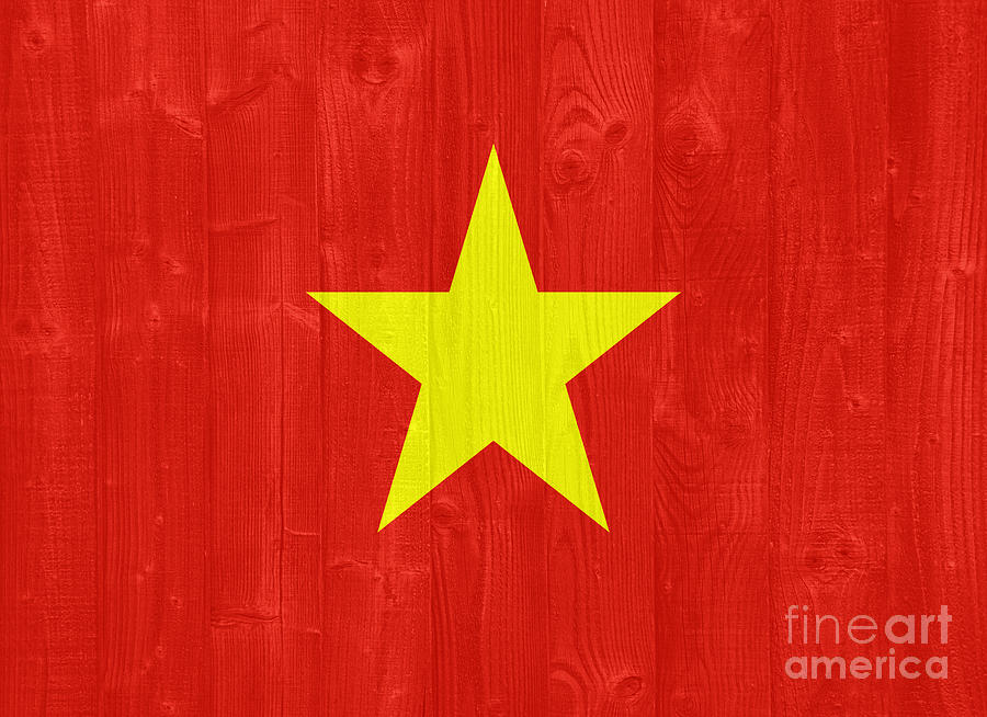 Vietnam Flag Photograph