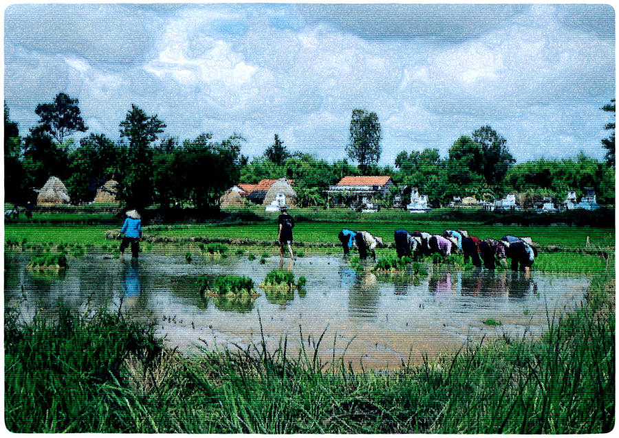 Vietnam Mekong Delta Photograph by Udo Linke