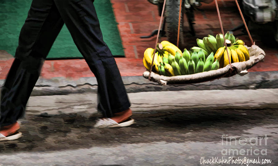Fruit Photograph - Vietnam Paint by Chuck Kuhn