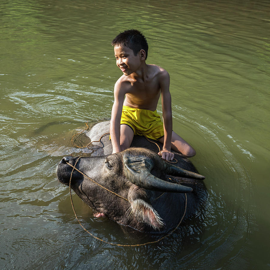 Vietnam, Young Boy Sitting On Water Photograph by Martin Puddy