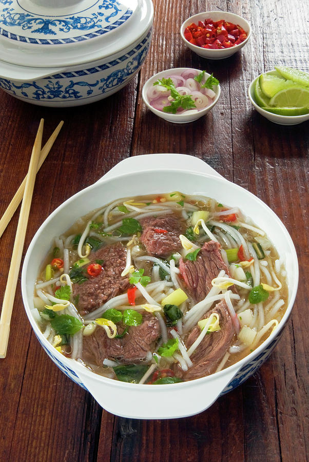 Vietnamese Pho Beef Broth, Vietnam, Asia Photograph by Nico Tondini ...