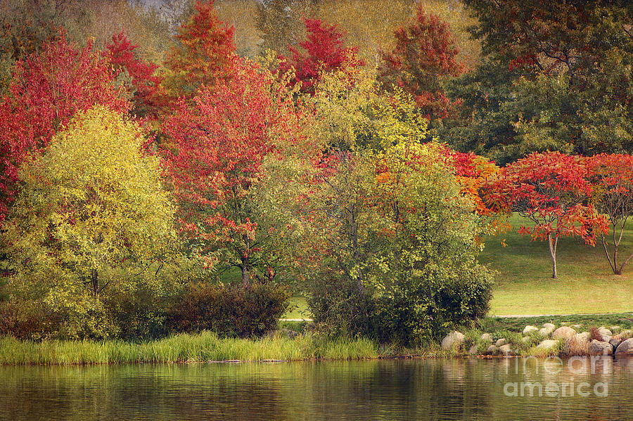 View Across LaFarge Lake with Texture Photograph by Sharon Talson