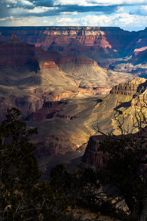 View Across the Canyon Photograph by Ed Gleichman