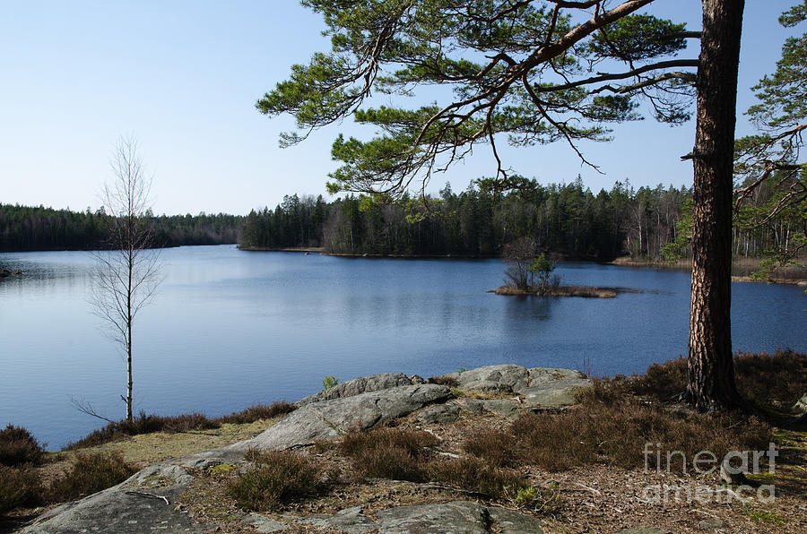Spring Photograph - View at a calm forest lake by Kennerth and Birgitta Kullman