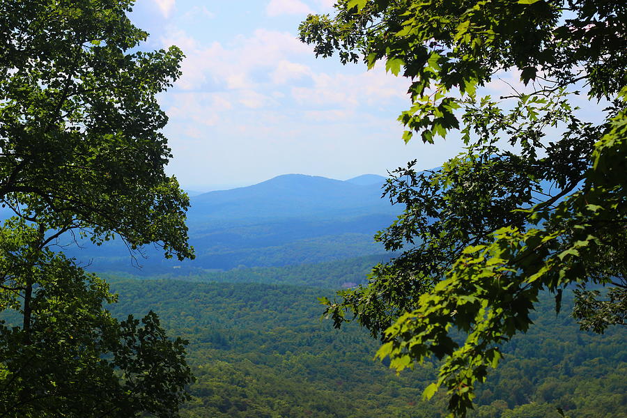 Mountain Photograph - View At Amicalola by Cathy Lindsey