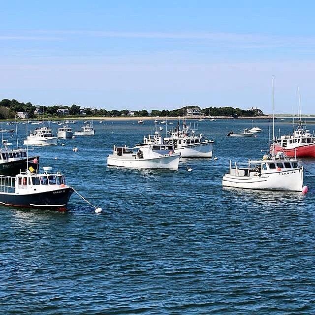 View At Chatham Fish Pier #capecoddaily Photograph by Amy Coomber Eberhardt