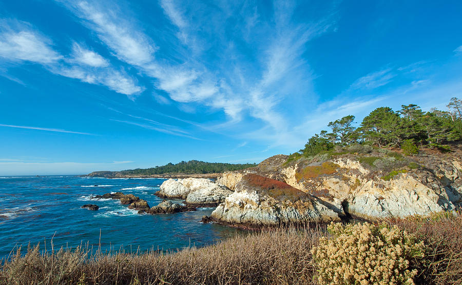 Landscape Photograph - View At Point Lobos by Catherine Lau