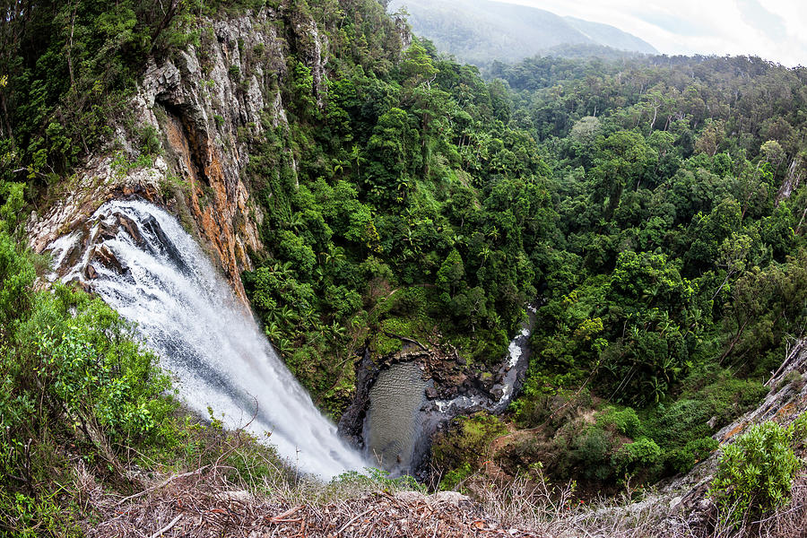 View Down Purling Brook Falls Photograph By Fat Tony