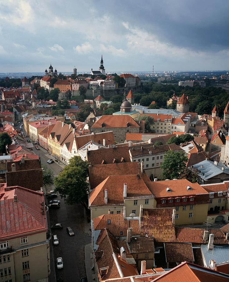 View from above of Old Town Tallinn  Estonia Photograph by Cliff Wassmann