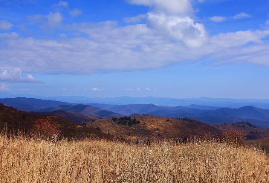 View From Black Balsam Knob Photograph