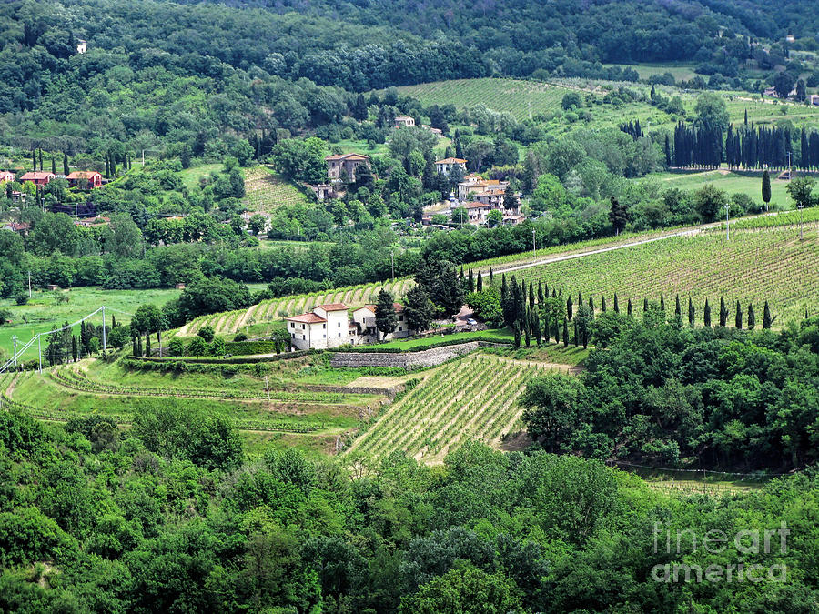 View from Castello Vicchiomaggio Photograph by Jennie Breeze