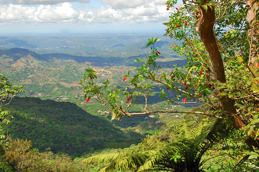View from Cerro de Punta Photograph by Alan Lenk