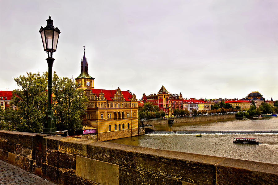 Tree Photograph - View From Charles Bridge by Madeline Ellis