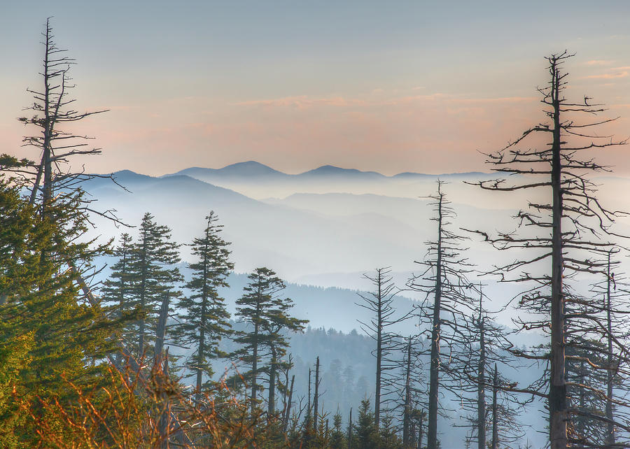 View From Clingmans Dome Photograph by Dennis Govoni