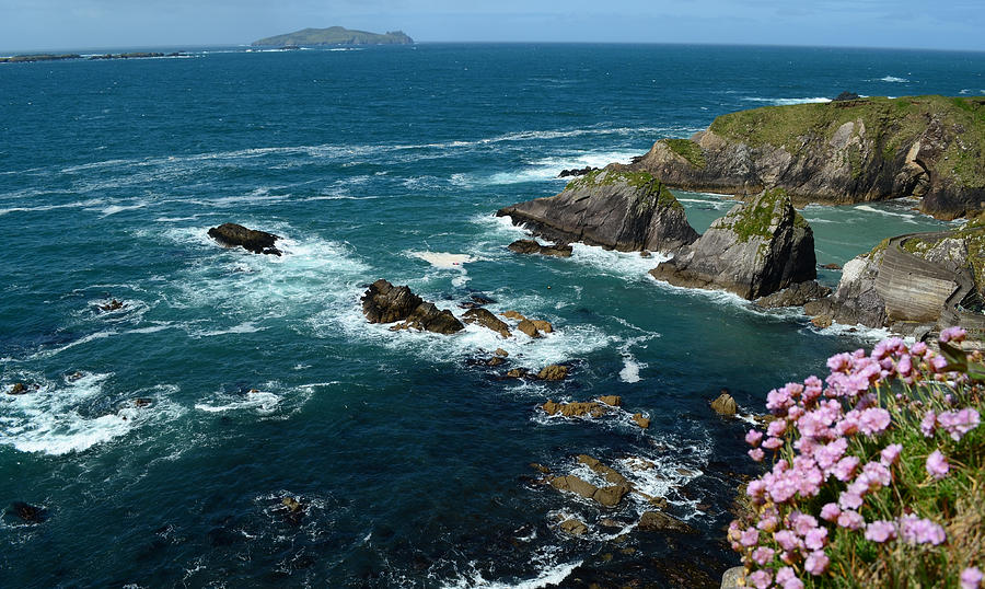 Flower Photograph - View from Dunquin Pier by Barbara Walsh