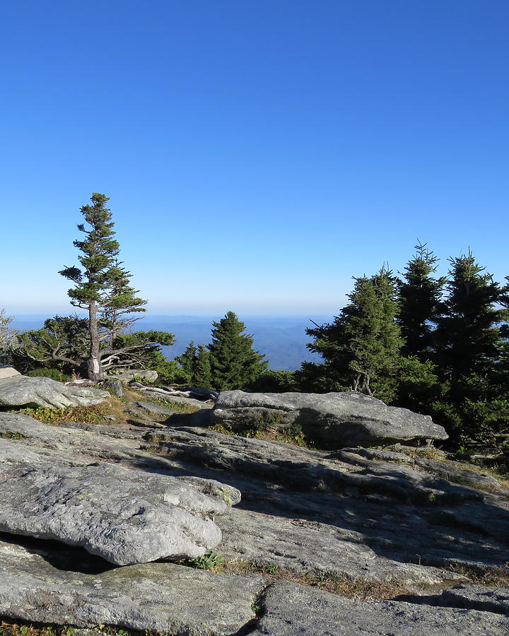 View from Grandfather Mountain Photograph by Kathy Long