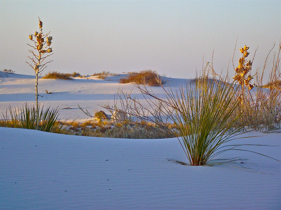 View from Interdune Boardwalk in White Sands National Monument-New ...