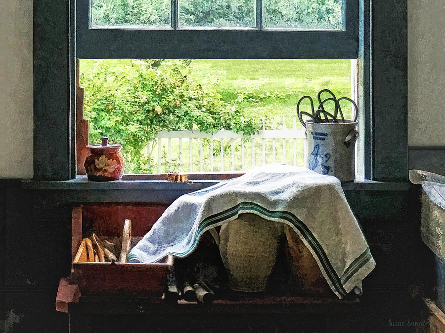 View From Kitchen Window Photograph by Susan Savad