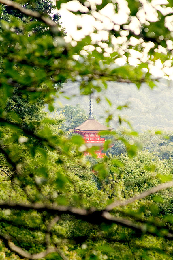 View From Kiyomizudera Photograph