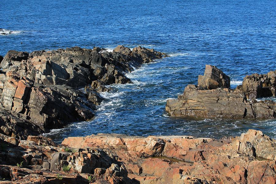 View From Marginal Way Ogunquit Maine 1 Photograph by Michael Saunders
