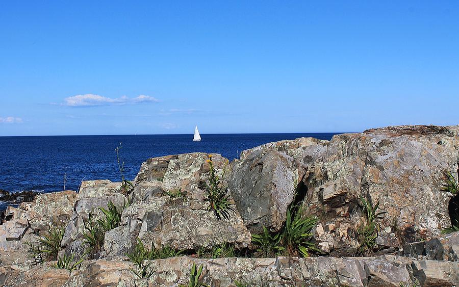 View From Marginal Way Ogunquit Maine 3 Photograph by Michael Saunders