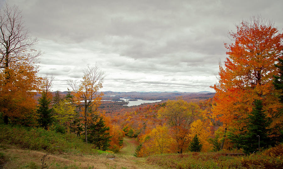 View From McCauley Mountain III Photograph by David Patterson